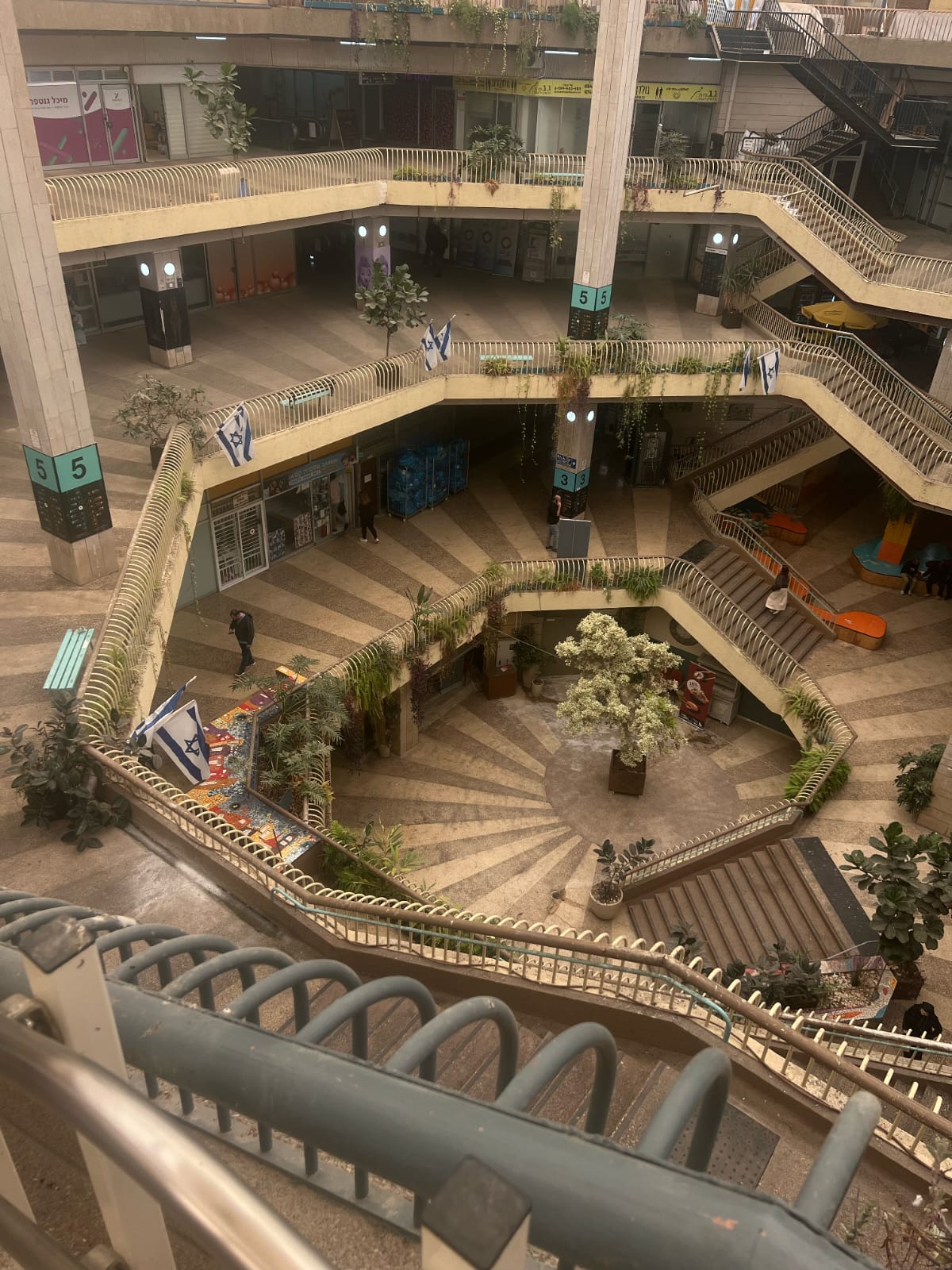 Backlit circular fruit slice with radiant golden veins on a neutral wall